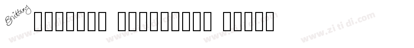 Brittany Signature S字体转换
